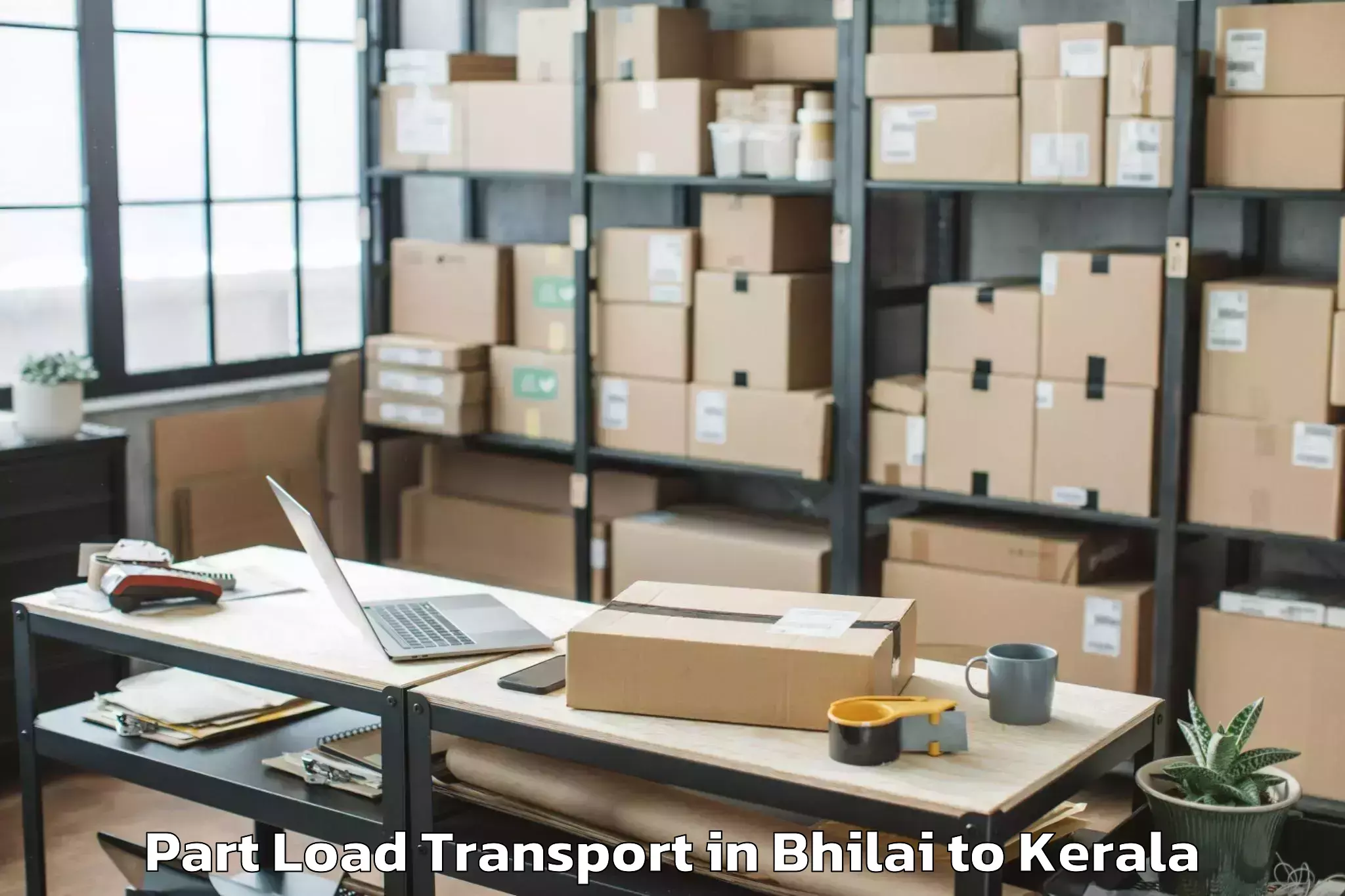 Professional Bhilai to Nedumangad Part Load Transport